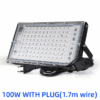 100W Mit Stecker